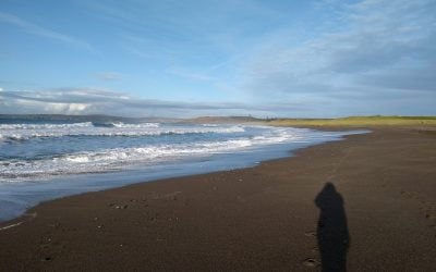 Five Tips to Beat the Pandemic Blues