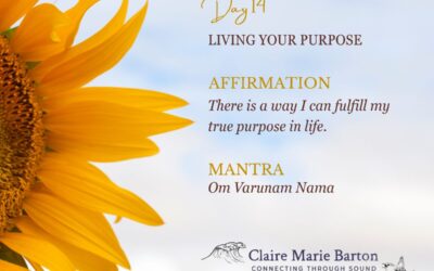 Day 14 – Deepak Chopra’s 21 Days of Abundance Meditation