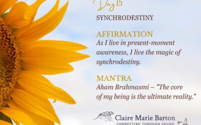 Day 15 – Deepak Chopra’s 21 Days of Abundance Meditation