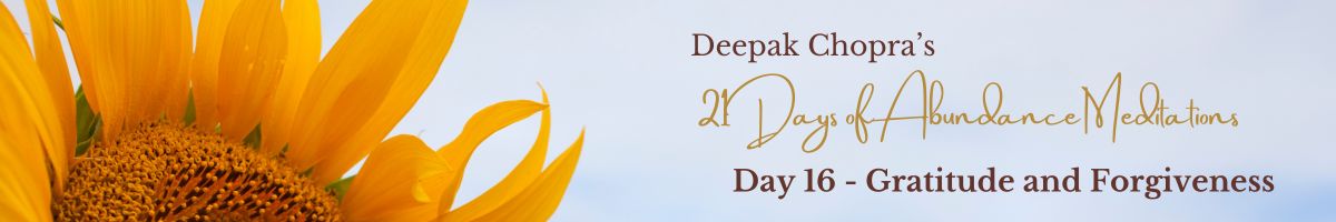 Day 16 Blog Header – 21 Days of Abundance Day 16 blog header for Deepak Chopra’s 21 Days of Abundance – sunflower and soft sky with theme title.