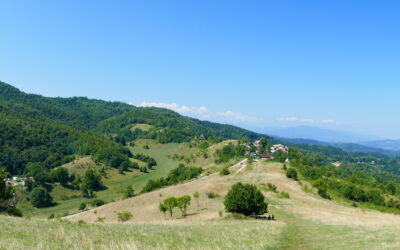 Bosnian Pyramid of the Sun Soundscape | Crickets & Singing Bowl Sunset Meditation